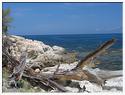 Corse-10