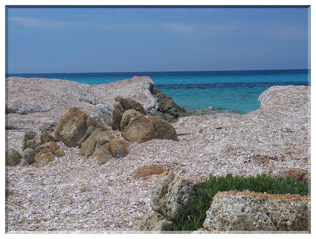 Corse-12