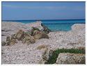 Corse-12