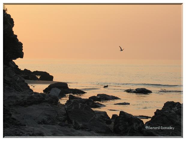 Corse-17