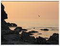 Corse-17