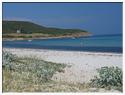 Corse-24