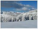 IMG_5157