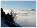 IMG_5458
