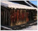 IMG_6935