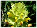Beuil et alentours-08