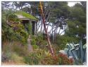 Hambury_079