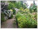 Hambury_090